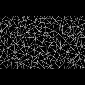 Meet your Posher, Max